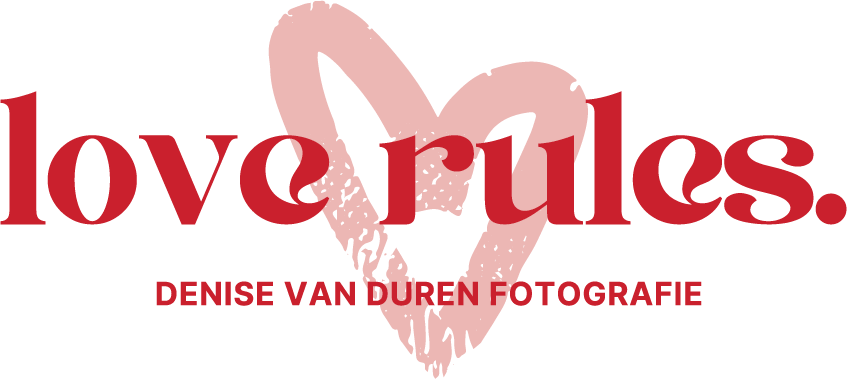 dvdf-beeldmerk-kleur